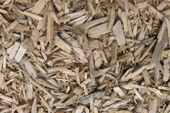 biomass boilers Salmonhutch