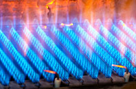 Salmonhutch gas fired boilers